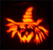 rita-pumpkin-2.jpg (41011 bytes)